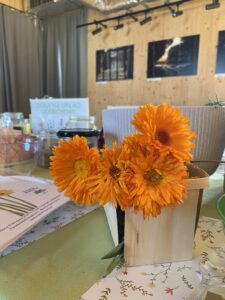 Warsztaty IMG_7606